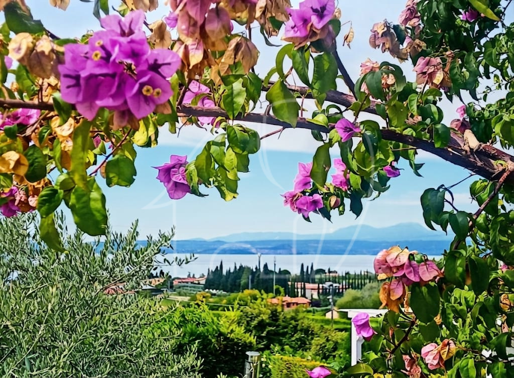 018__n4 Appartamento su due livelli con vista lago e dependance
