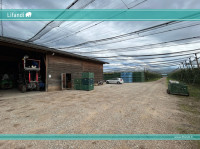 Azienda Agricola/Castions di Strada