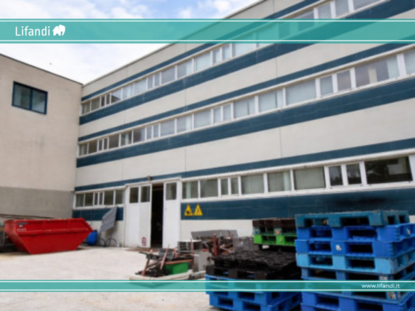 Auer: Halle mit Büros
