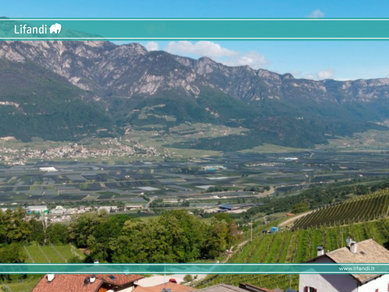 Montan, Glen – 4 Zimmerwohnung