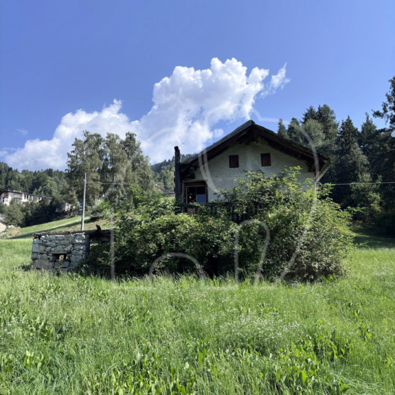 Un paradiso nel verde – un luogo per chi cerca tranquillità, natura e autenti