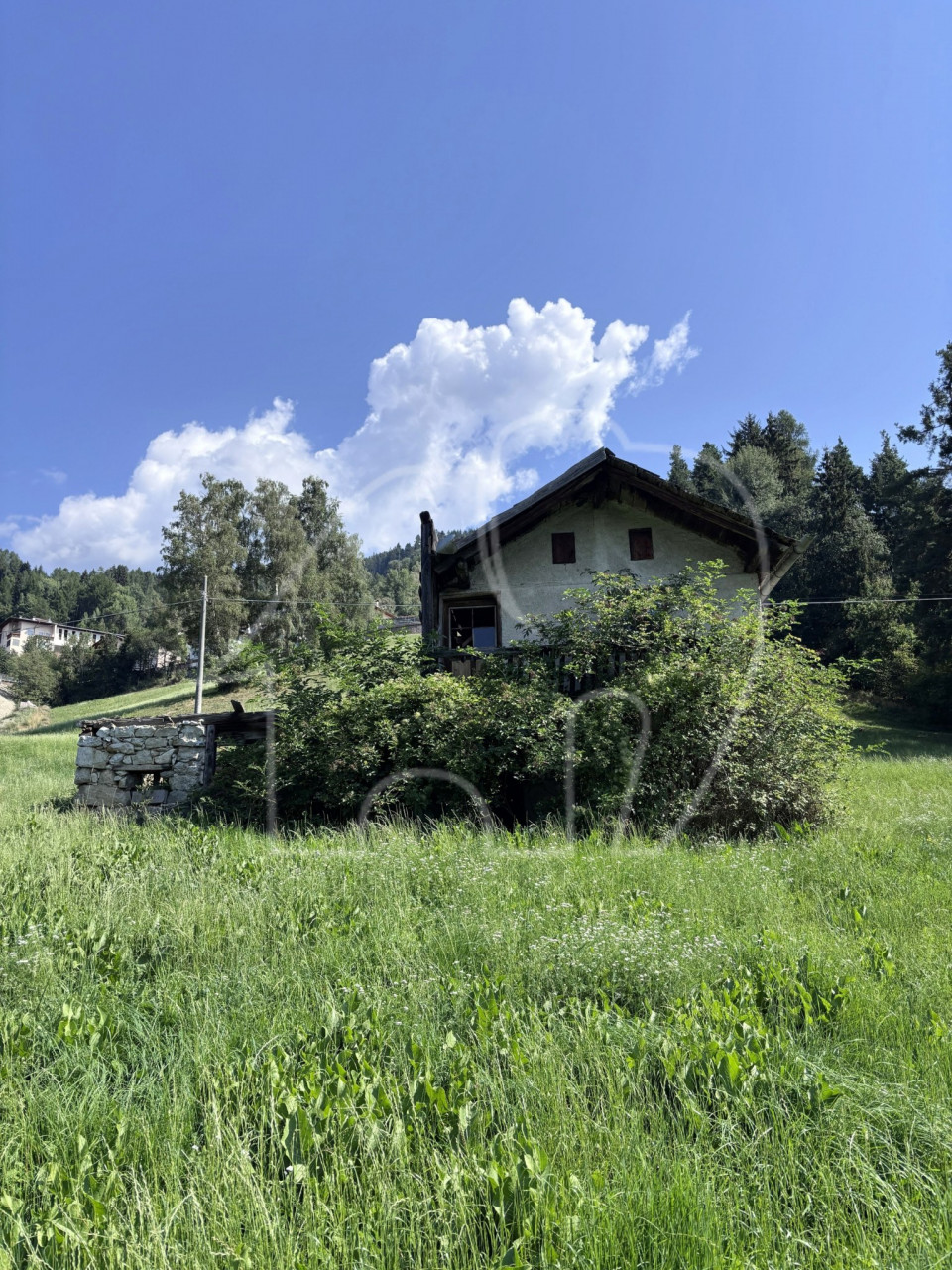 Un paradiso nel verde – un luogo per chi cerca tranquillità, natura e autenti