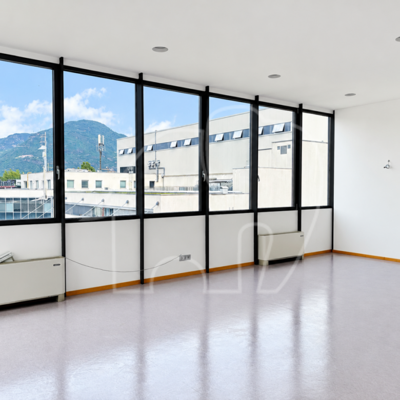 Großzügiges Büro mit Lager und Lastenaufzug