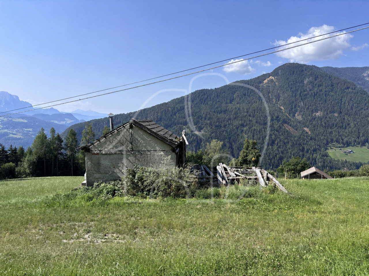 Un paradiso nel verde – un luogo per chi cerca tranquillità, natura e autenti