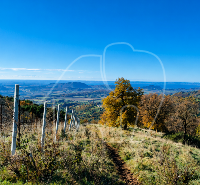 Spiazzi: Grundstück mit Weinberg und Panoramablick