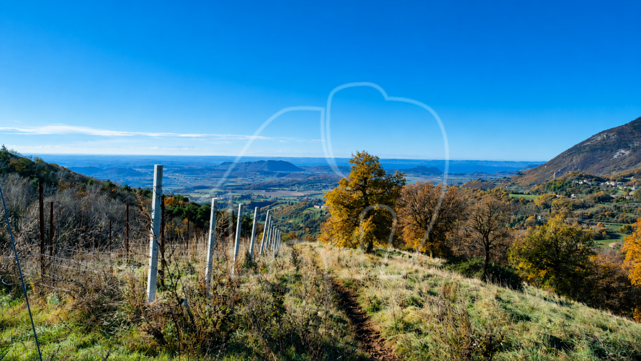 Spiazzi: Grundstück mit Weinberg und Panoramablick