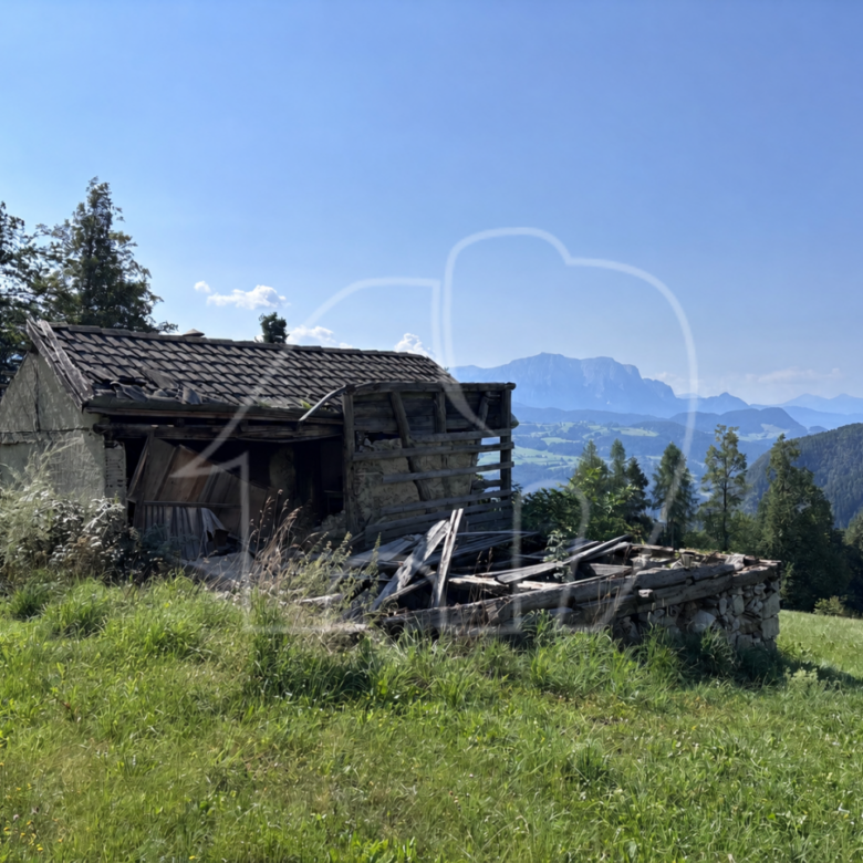 Un paradiso nel verde – un luogo per chi cerca tranquillità, natura e autenti