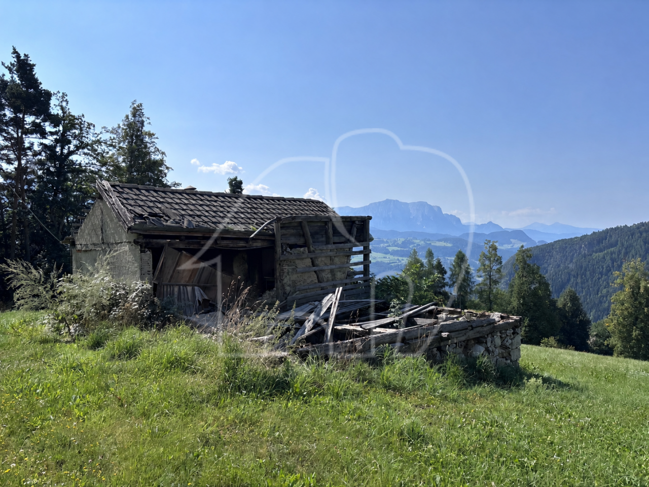 Un paradiso nel verde – un luogo per chi cerca tranquillità, natura e autenti