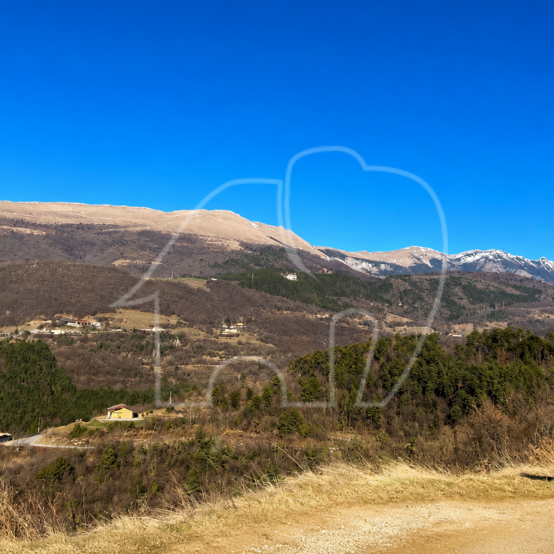 Spiazzi: Grundstück mit Weinberg und Panoramablick