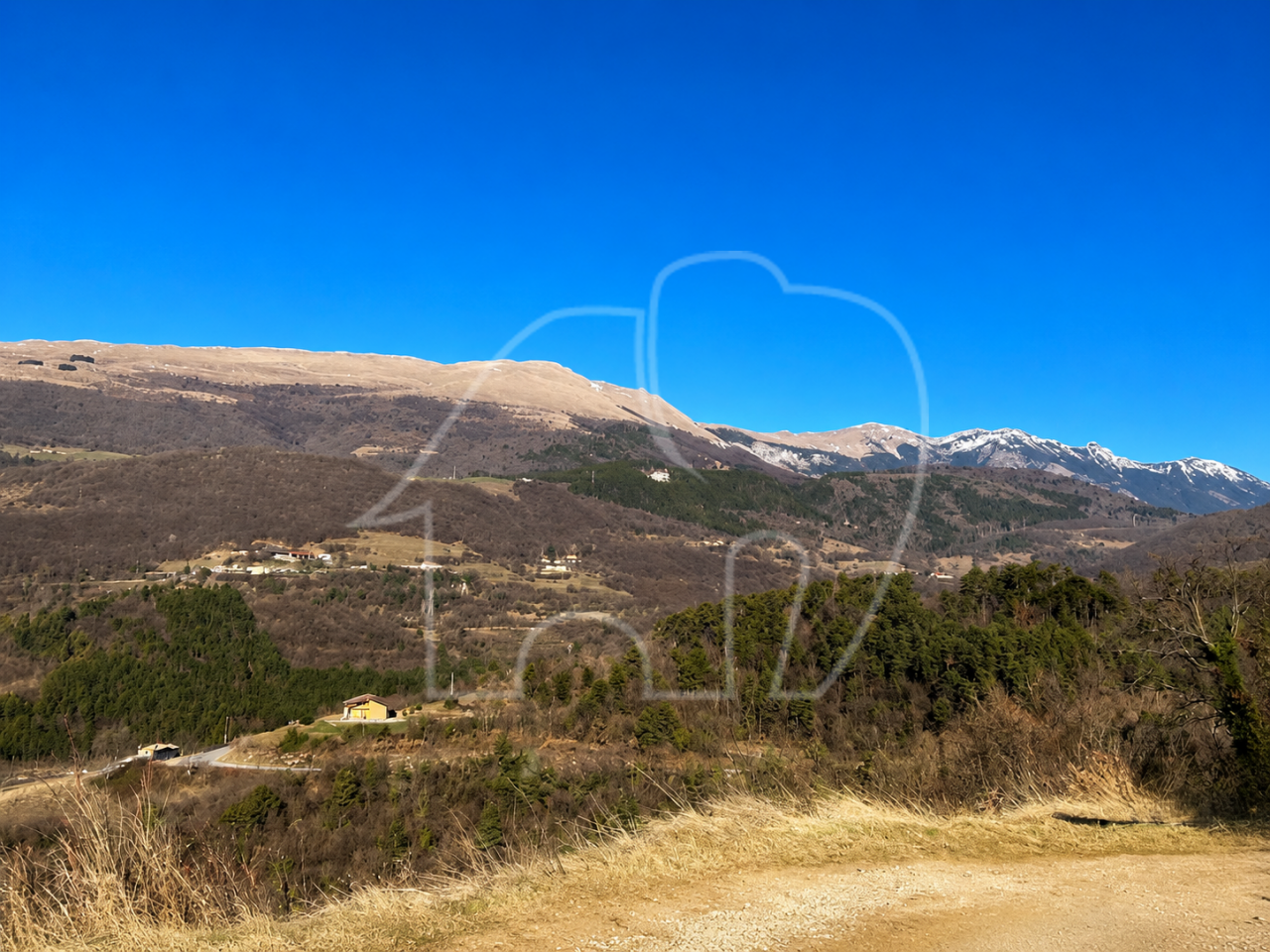 Spiazzi: Grundstück mit Weinberg und Panoramablick