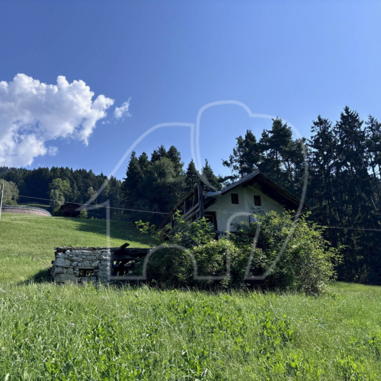 Un paradiso nel verde – un luogo per chi cerca tranquillità, natura e autenti
