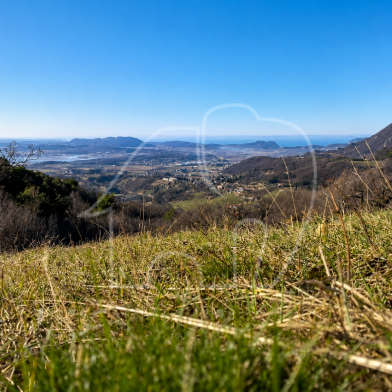 Spiazzi: Grundstück mit Weinberg und Panoramablick