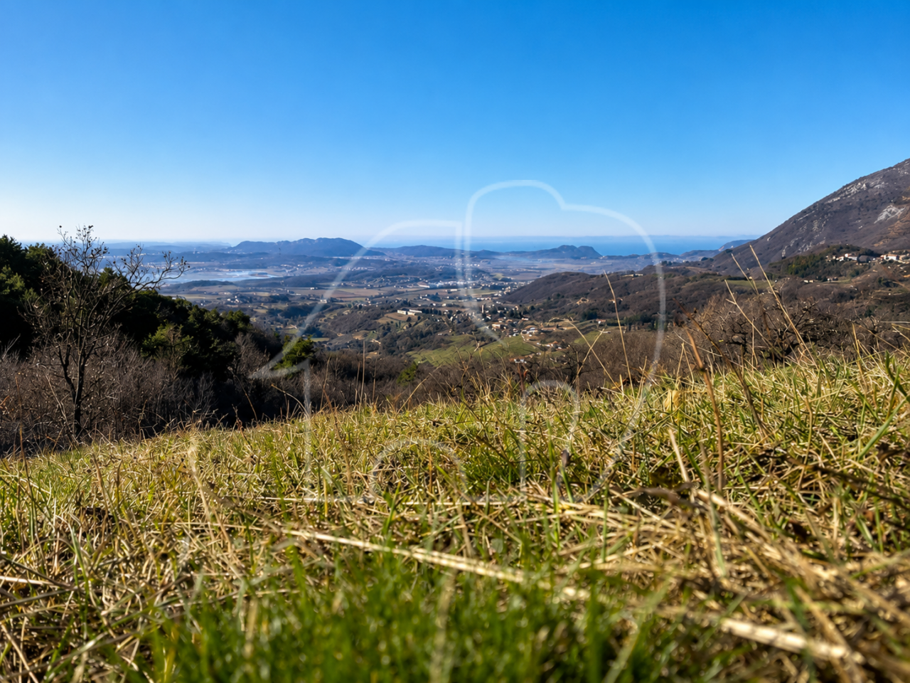 Spiazzi: Grundstück mit Weinberg und Panoramablick