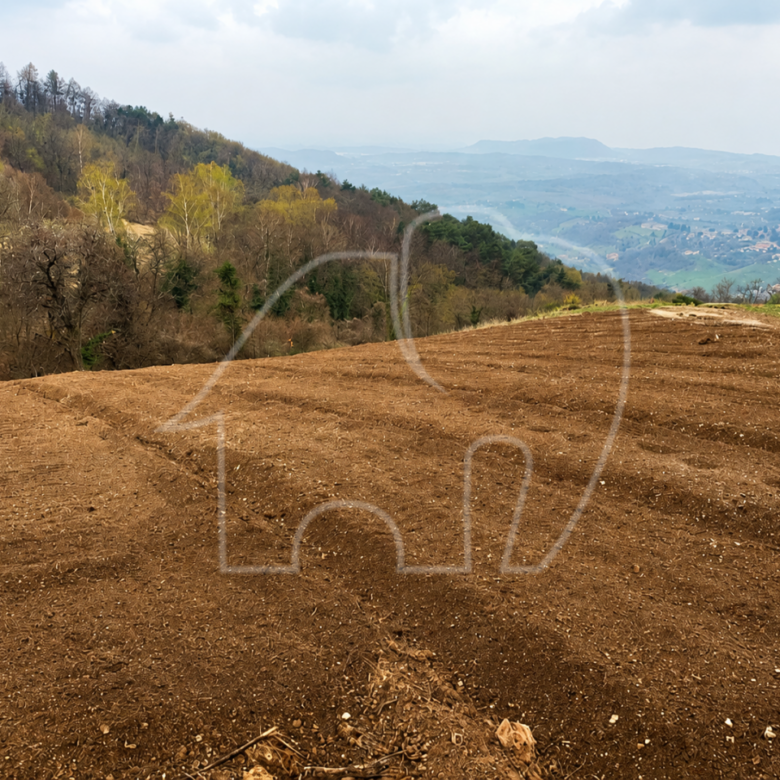 Spiazzi: Grundstück mit Weinberg und Panoramablick