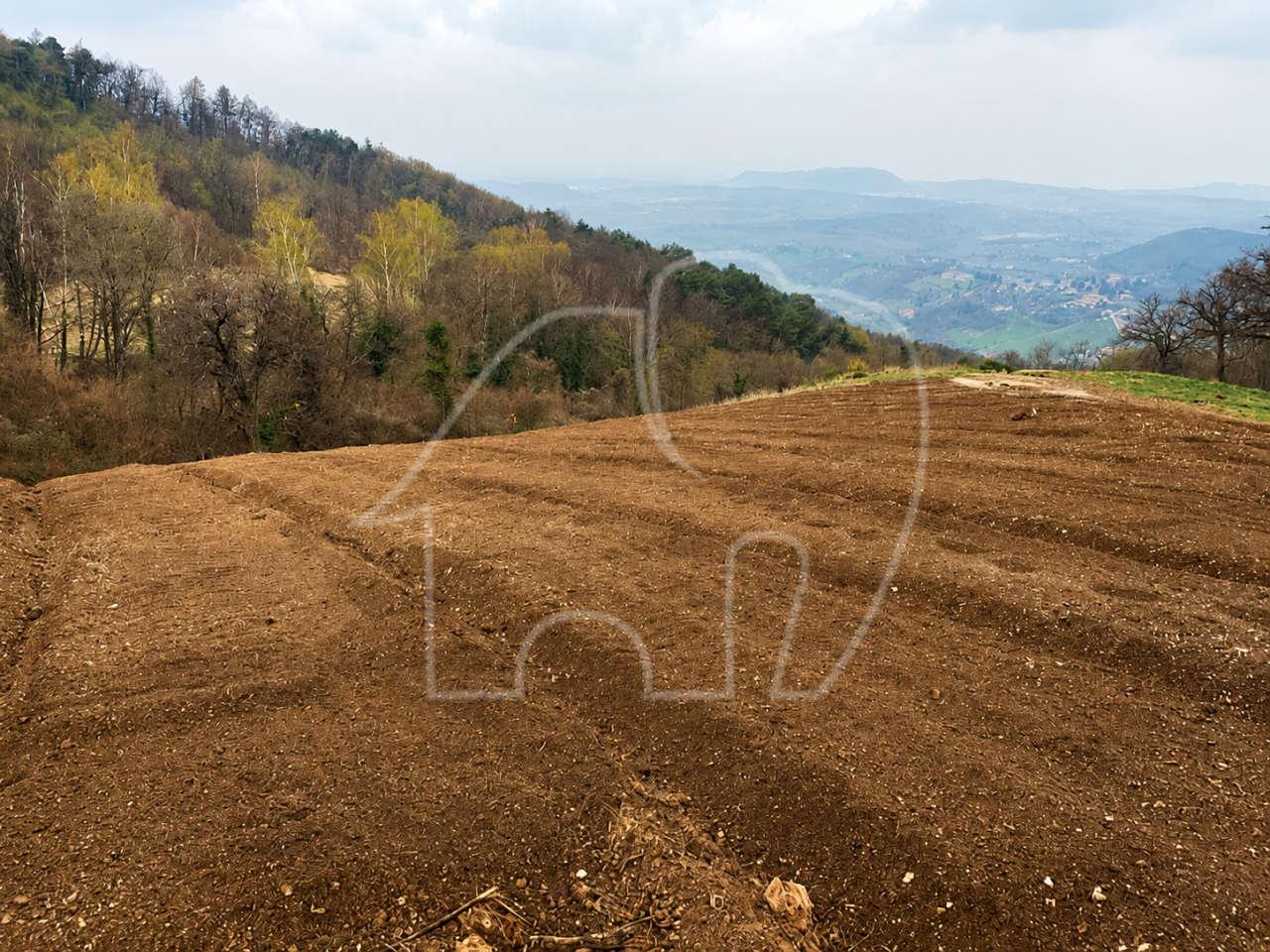 Spiazzi: Grundstück mit Weinberg und Panoramablick