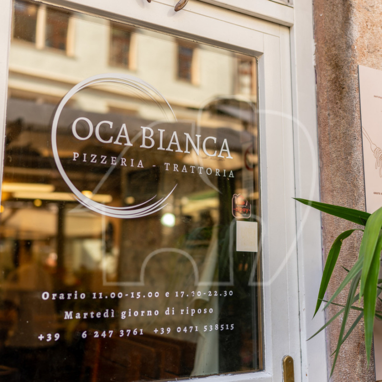 Attività: Oca bianca