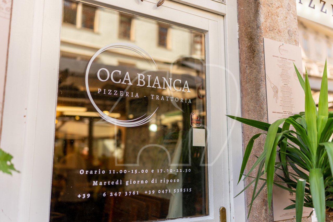 Attività: Oca bianca