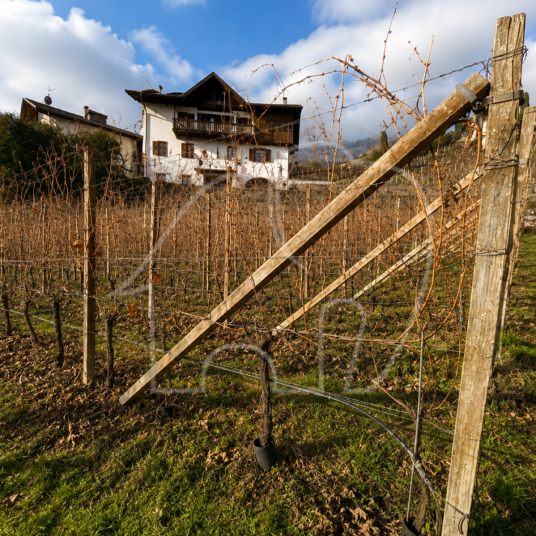Porzione di casa con terreno