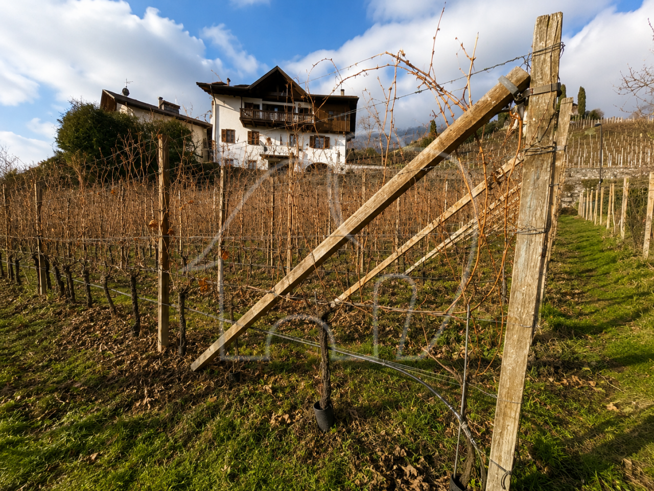 Porzione di casa con terreno