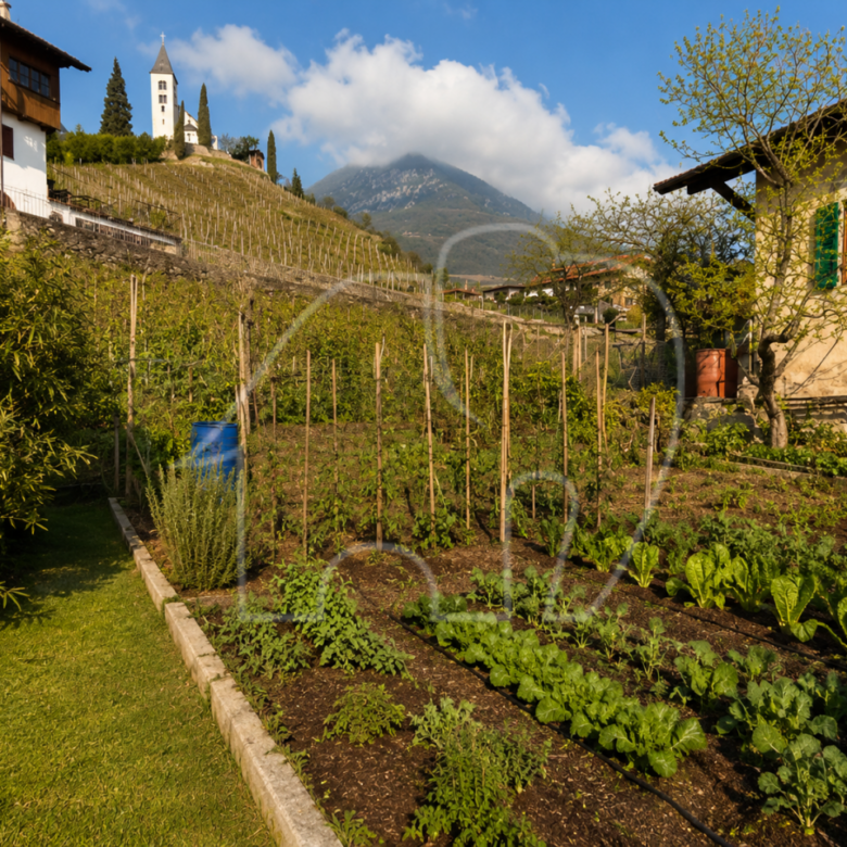 Porzione di casa con terreno