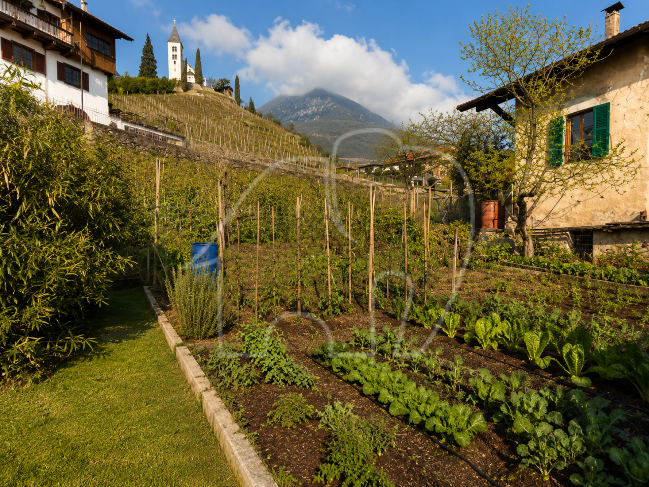 Porzione di casa con terreno