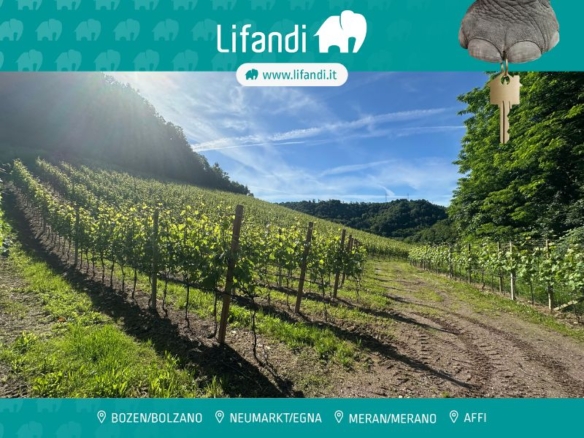 Appiano/Vigneto Lagrein