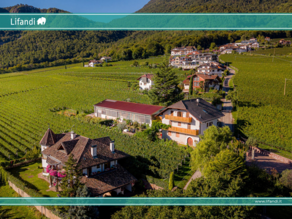 APPIANO – MONTE – Posizione panoramica con potenziale
