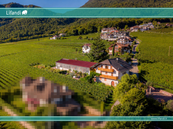 APPIANO – MONTE – Posizione panoramica con potenziale