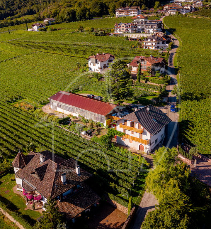 APPIANO – MONTE – Posizione panoramica con potenziale