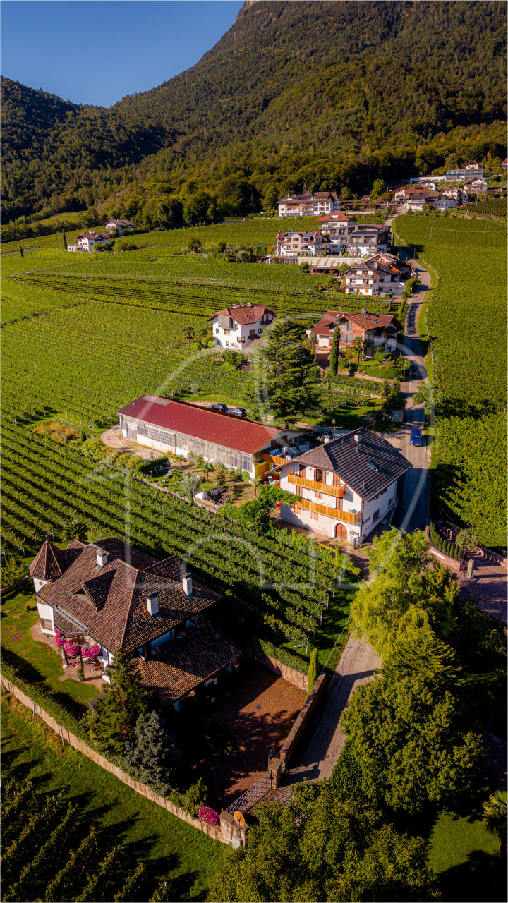 APPIANO – MONTE – Posizione panoramica con potenziale
