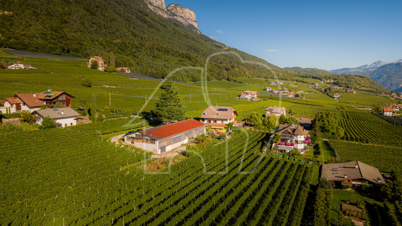 APPIANO – MONTE – Posizione panoramica con potenziale
