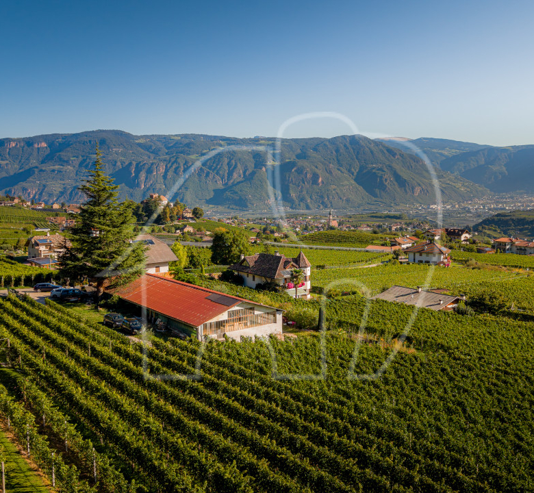 APPIANO – MONTE – Posizione panoramica con potenziale