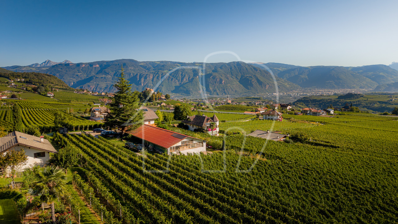 APPIANO – MONTE – Posizione panoramica con potenziale