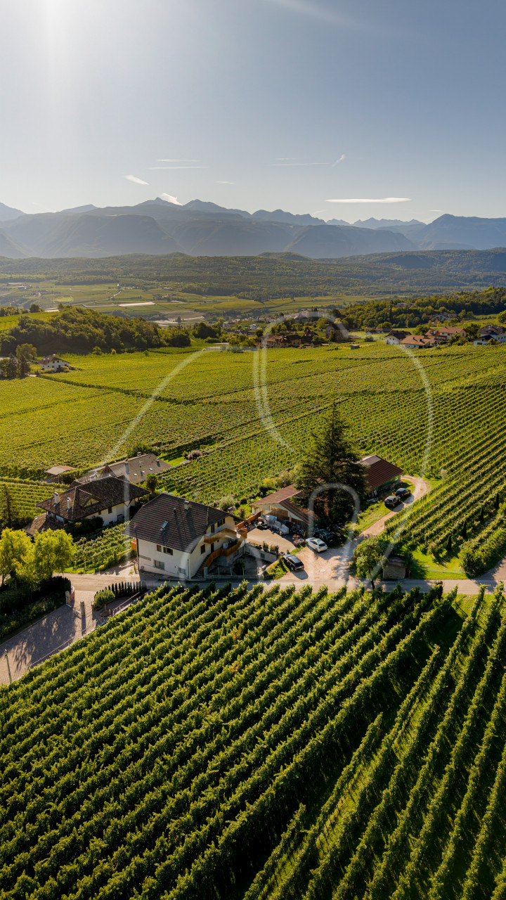 APPIANO – MONTE – Posizione panoramica con potenziale