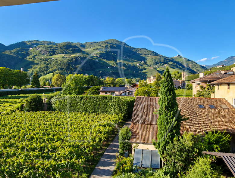 Bilocale con balcone e cantina in una buona posizione